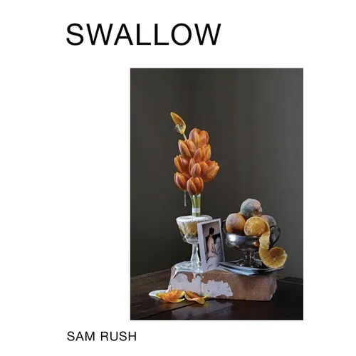 Swallow - Paperback