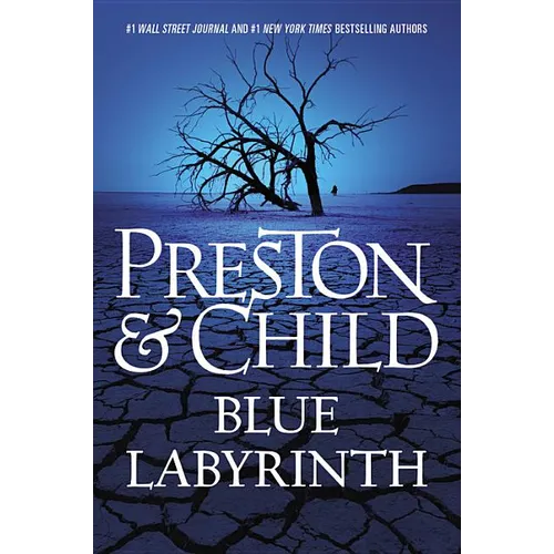 Blue Labyrinth - Hardcover