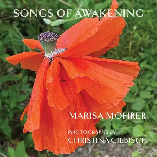 Songs of Awakening - Paperback
