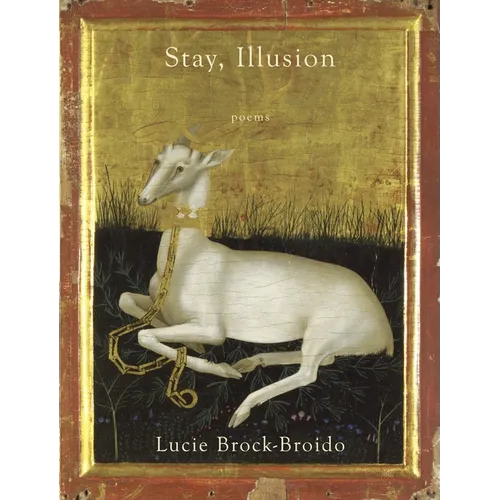 Stay, Illusion: Poems - Paperback