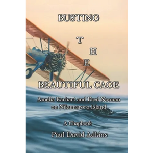 Busting the Beautiful Cage: Amelia Earhart and Fred Noonan on Nikumaroro Island - Paperback