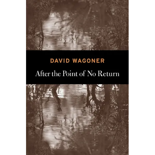 After the Point of No Return - Paperback