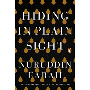 Hiding in Plain Sight - Paperback