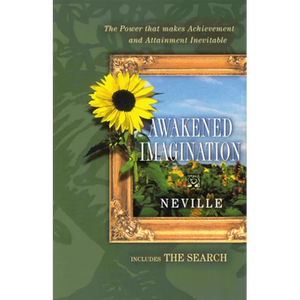 Awakend Imagination/The Search: (Includes the Search) - Paperback