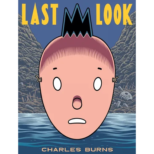 Last Look - Paperback