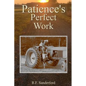 Patience's Perfect Work - Paperback