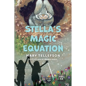 Stella's Magic Equation - Paperback