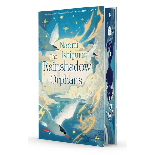 The Rainshadow Orphans: The Rainshadow Series, Book One - Hardcover