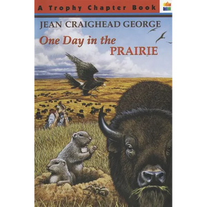 One Day in the Prairie - Paperback