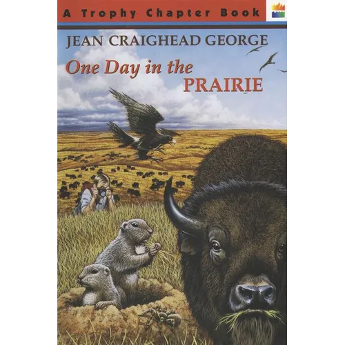 One Day in the Prairie - Paperback