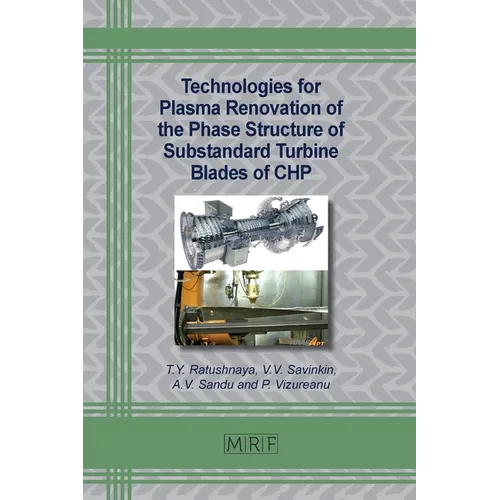 Technologies for Plasma Renovation of the Phase Structure of Substandard Turbine Blades of CHP - Paperback