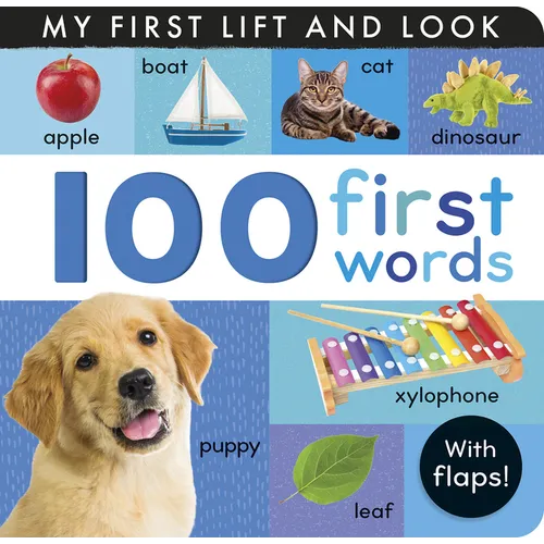 100 First Words: My First Lift and Look (with Flaps) - Board Book