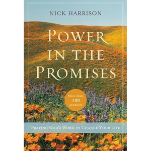 The Power in the Promises: Praying God's Word to Change Your Life - Paperback
