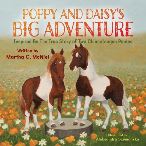 Poppy and Daisy's Big Adventure - Paperback