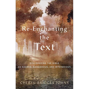 Re-Enchanting the Text: Discovering the Bible as Sacred, Dangerous, and Mysterious - Paperback