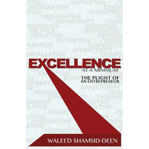Excellence at a Minimum: The Plight of an Entreprenuer - Paperback