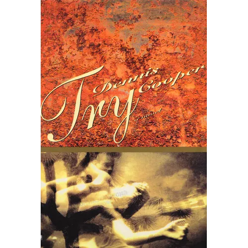 Try - Paperback