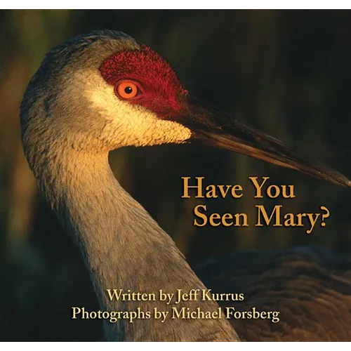 Have You Seen Mary? - Paperback
