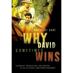 Why David Sometimes Wins: Leadership, Organization, and Strategy in the California Farm Worker Movement - Paperback