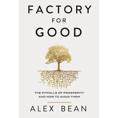 Factory for Good: The Pitfalls of Prosperity and How to Avoid Them - Hardcover