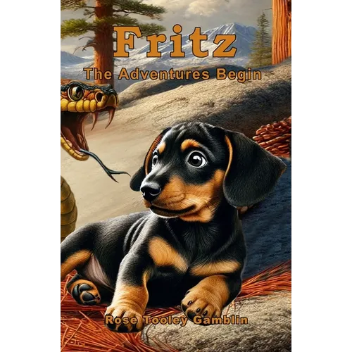 Fritz: The Adventures Begin - Paperback