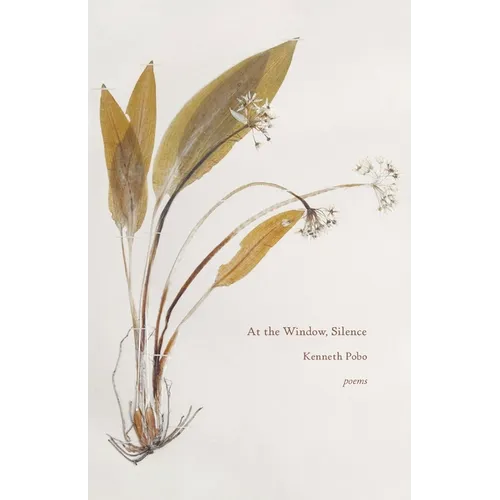 At the Window, Silence - Paperback