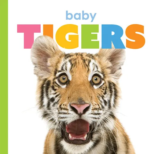 Baby Tigers - Board Book