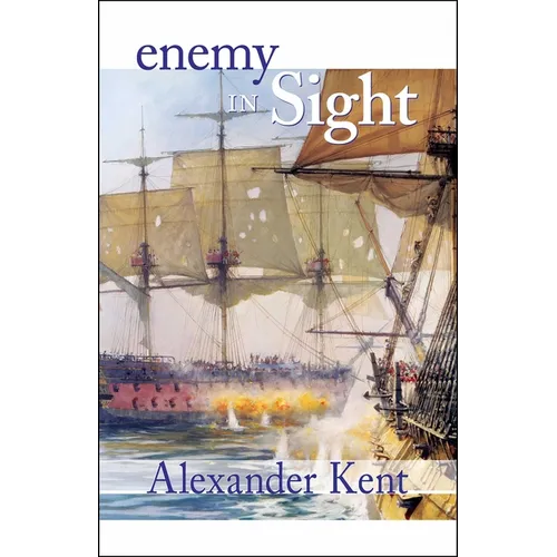 Enemy in Sight! - Paperback