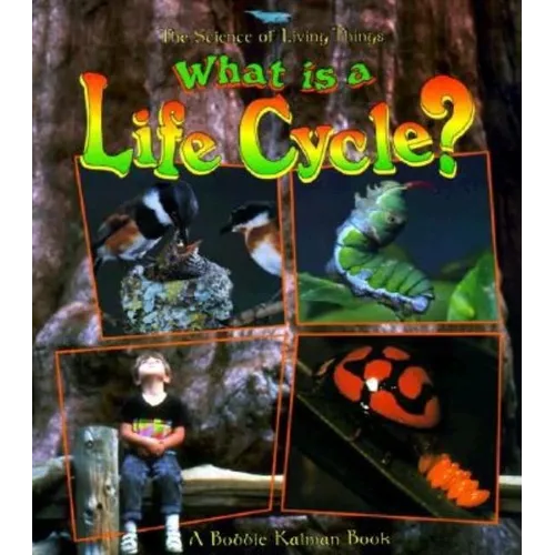 What Is a Life Cycle? - Paperback