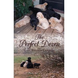 The Perfect Dozen - Paperback
