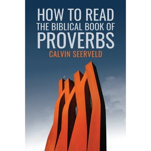 How to Read the Biblical Book of Proverbs: In paragraphs - Paperback