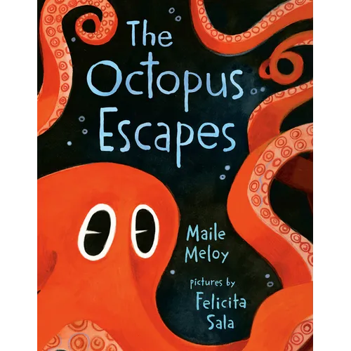 The Octopus Escapes - Board Book