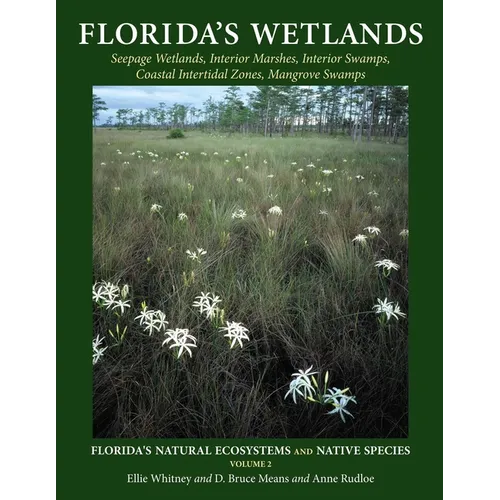 Florida's Wetlands - Paperback
