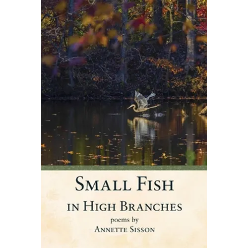 Small Fish in High Branches - Paperback