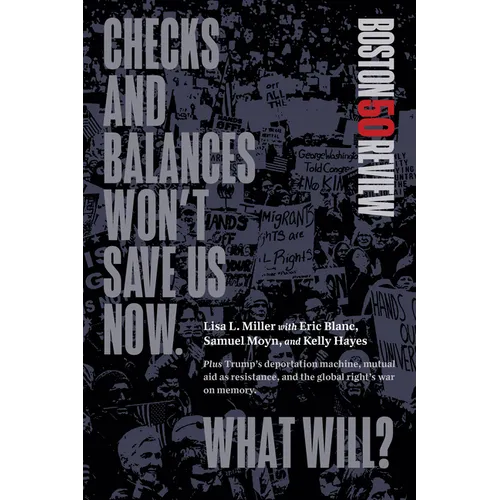 Checks and Balances Won't Save Us Now. What Will? - Paperback