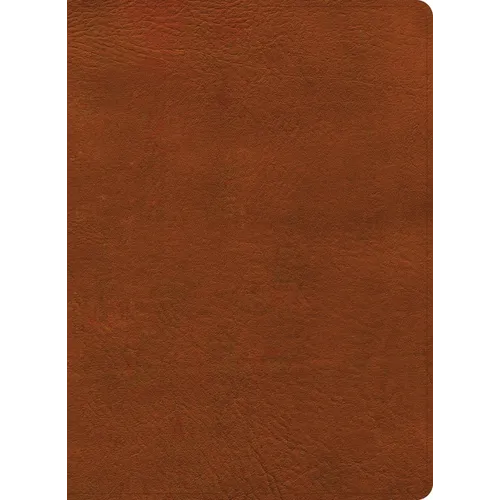 NASB Study Bible, Burnt Sienna Leathertouch - Imitation Leather