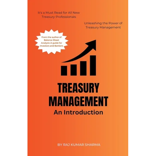 Treasury Management An Introduction - Paperback