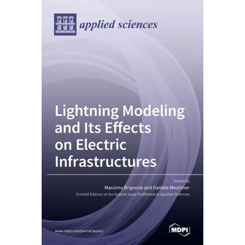 Lightning Modeling and Its Effects on Electric Infrastructures - Hardcover
