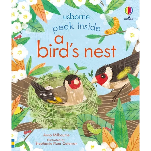 Peek Inside a Bird's Nest - Board Book