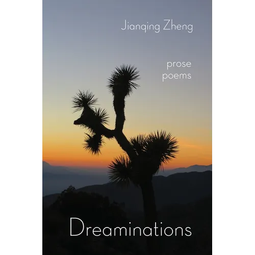 Dreaminations: Prose Poems - Paperback