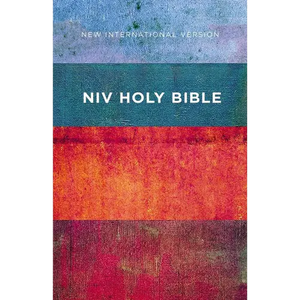 NIV, Value Outreach Bible, Paperback - Paperback
