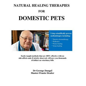 Natural Healing Therapies For Domestic Pets: The Chakra System of Animals - Paperback