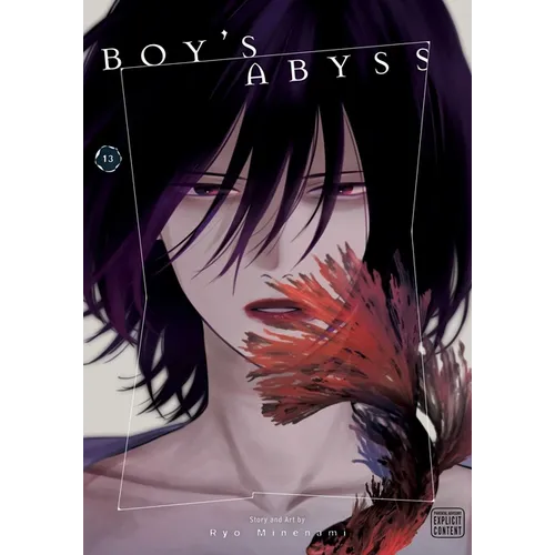 Boy's Abyss, Vol. 13 - Paperback