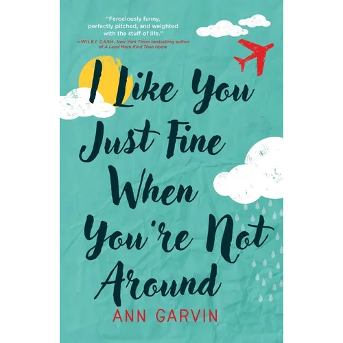 I Like You Just Fine When You're Not Around - Paperback