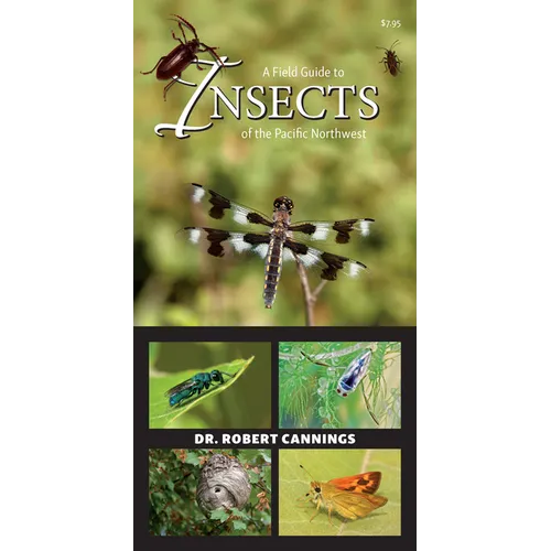 A Field Guide to Insects of the Pacific Northwest - Paperback