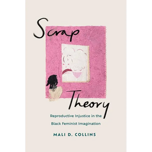 Scrap Theory: Reproductive Injustice in the Black Feminist Imagination - Hardcover
