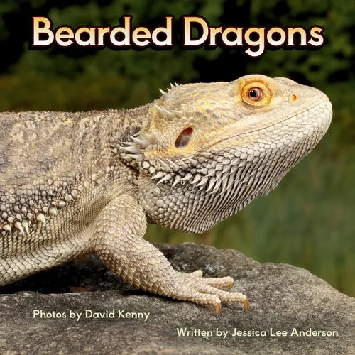 Bearded Dragons - Paperback