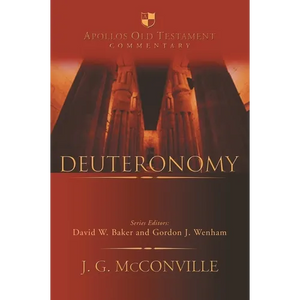 Deuteronomy: An Introduction and Commentary - Hardcover