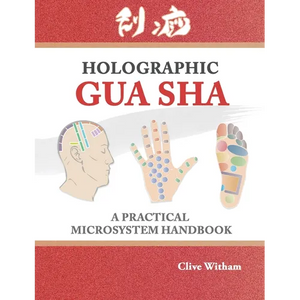 Holographic Gua sha: A Practical Microsystem Handbook - Paperback