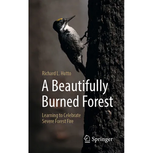 A Beautifully Burned Forest: Learning to Celebrate Severe Forest Fire - Paperback